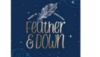 logo-Feather and Down